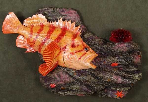 Tiger Rockfish 18"