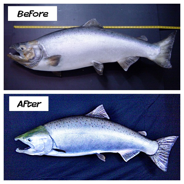 King Salmon Restoration Skin