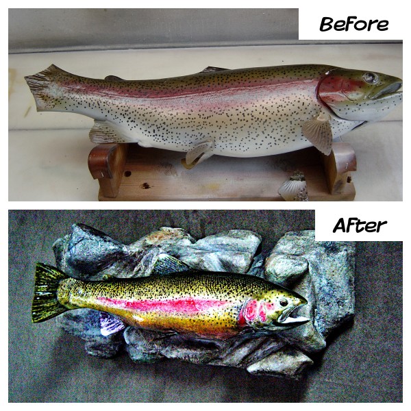 Rainbow Trout Restoration