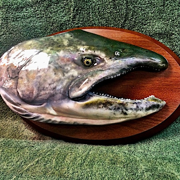 King Salmon head